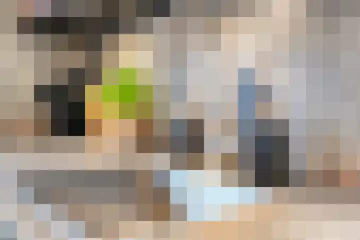 Taxus 24 Coevorden thumbnail 16