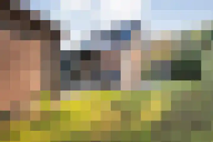 Taxus 24 Coevorden thumbnail 37