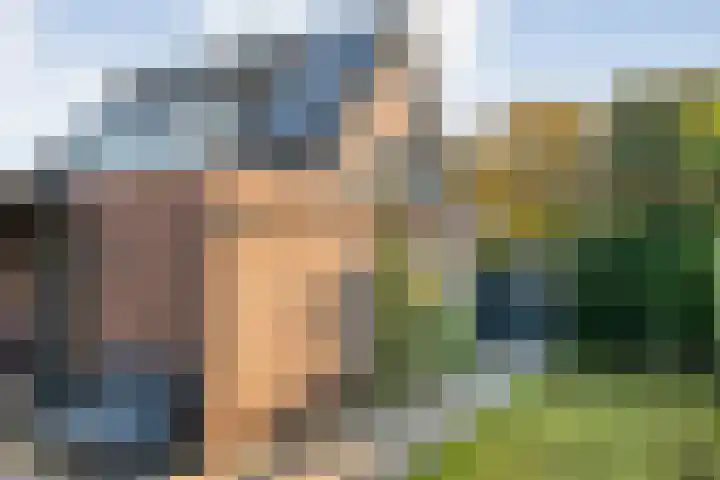 Taxus 24 Coevorden thumbnail 38
