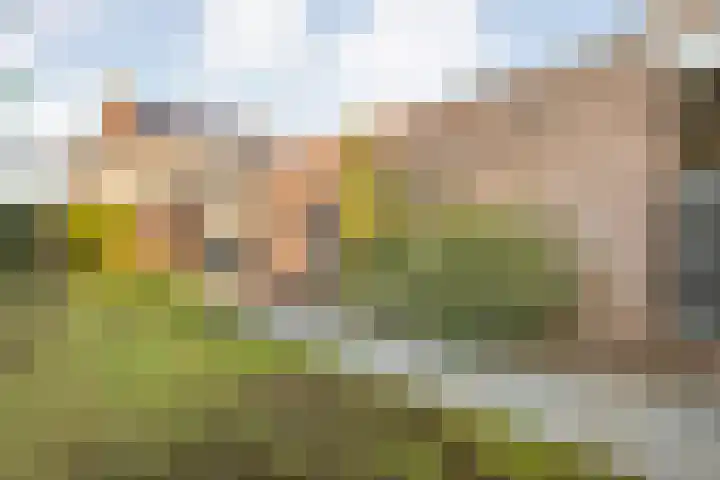 Taxus 24 Coevorden thumbnail 39