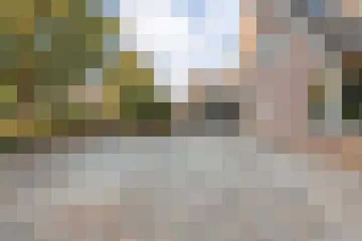 Taxus 24 Coevorden thumbnail 4