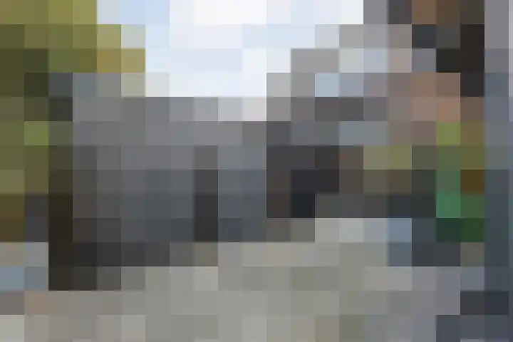 Taxus 24 Coevorden thumbnail 40