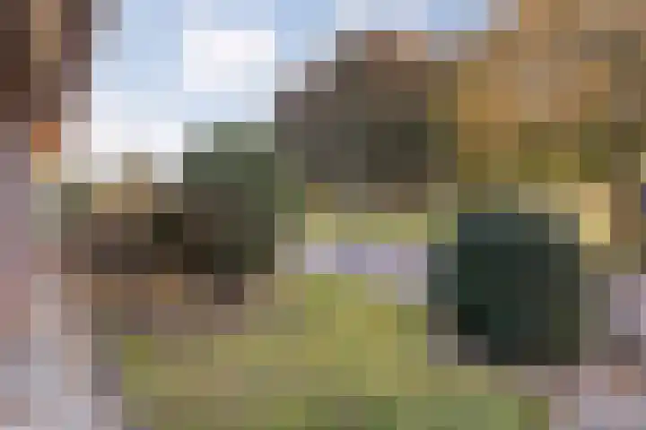 Taxus 24 Coevorden thumbnail 5