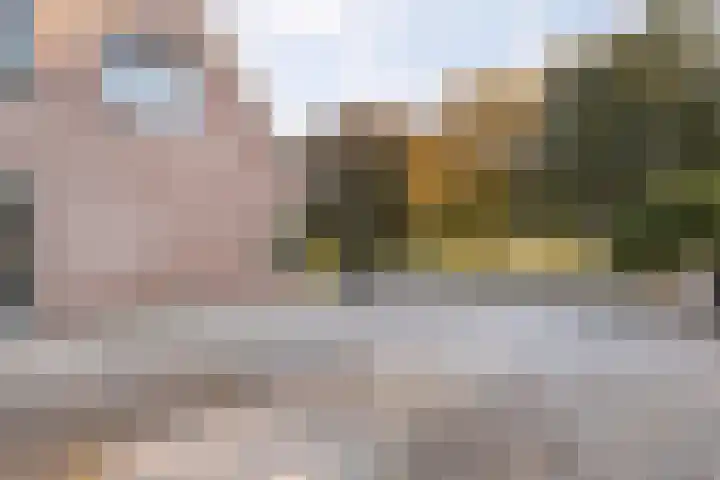 Taxus 24 Coevorden thumbnail 6