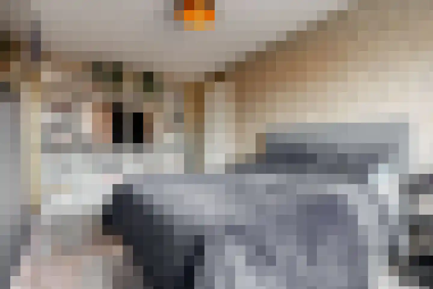 Taxushaag 18 Voorhout thumbnail 19