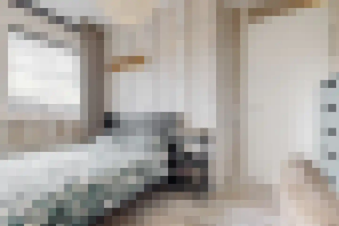 Taxushaag 18 Voorhout thumbnail 21