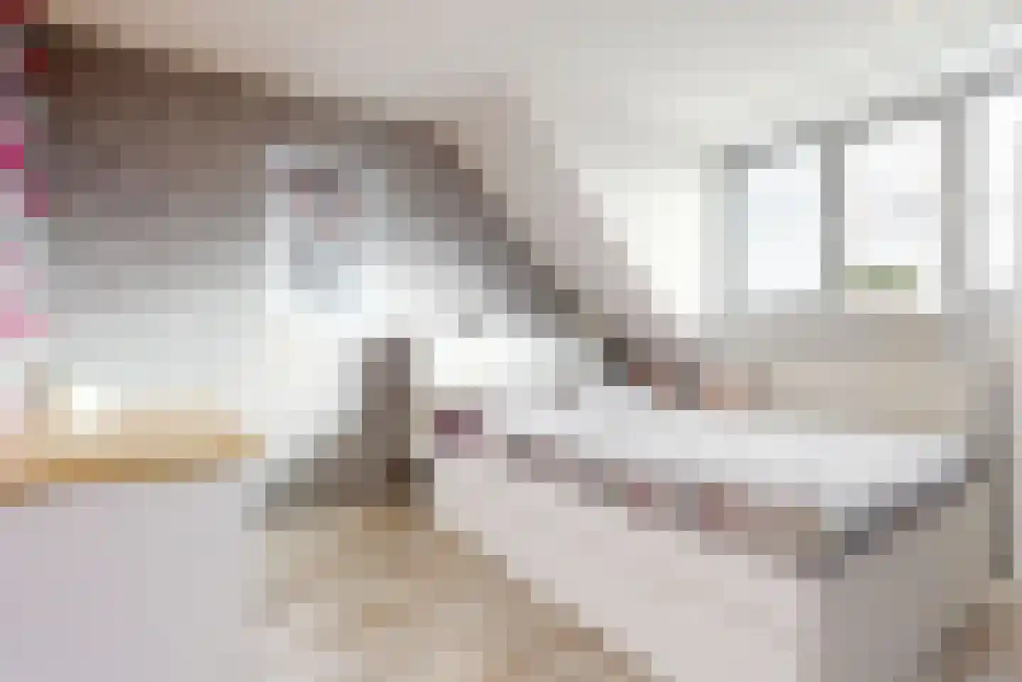 Taxushaag 18 Voorhout thumbnail 32