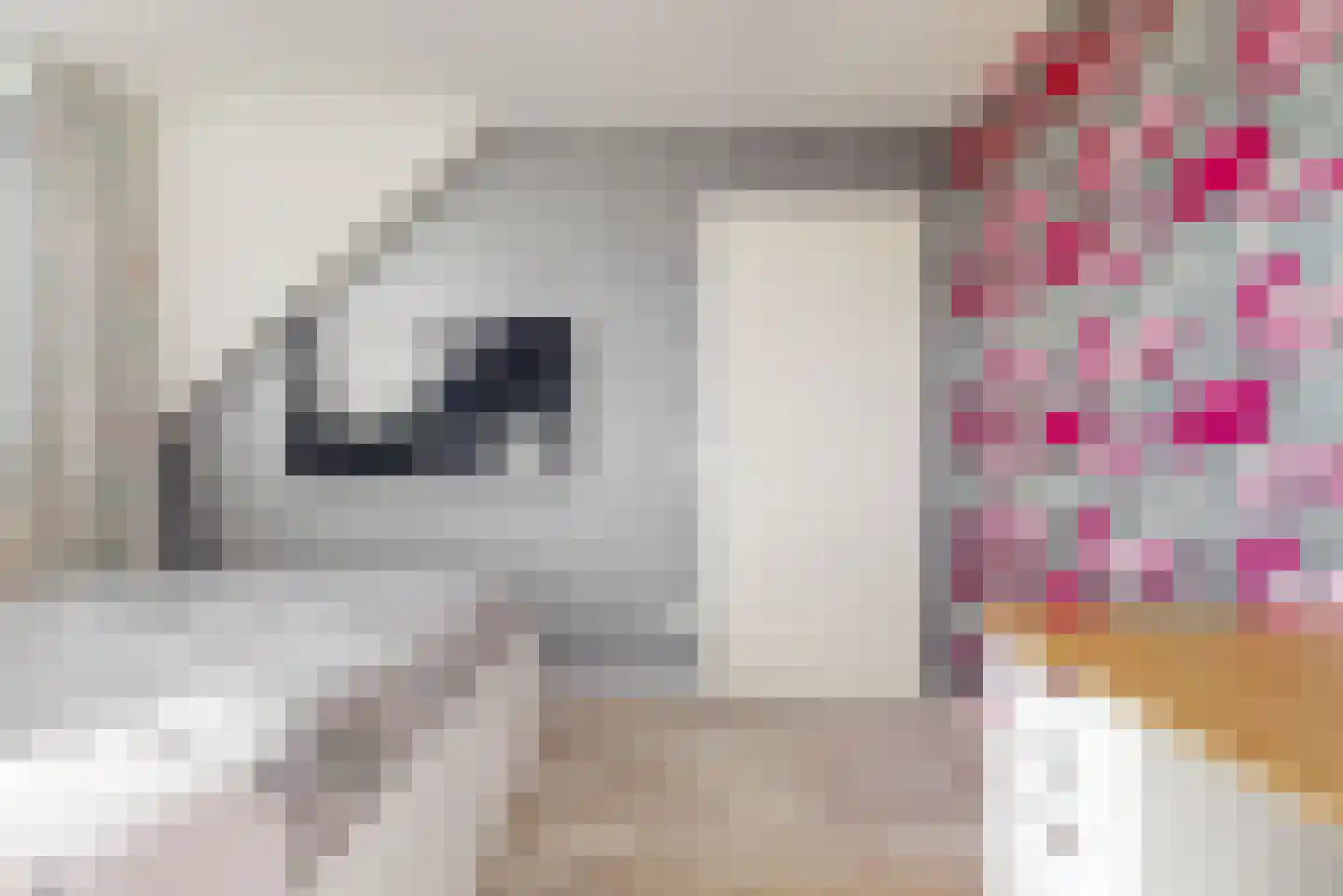 Taxushaag 18 Voorhout thumbnail 33