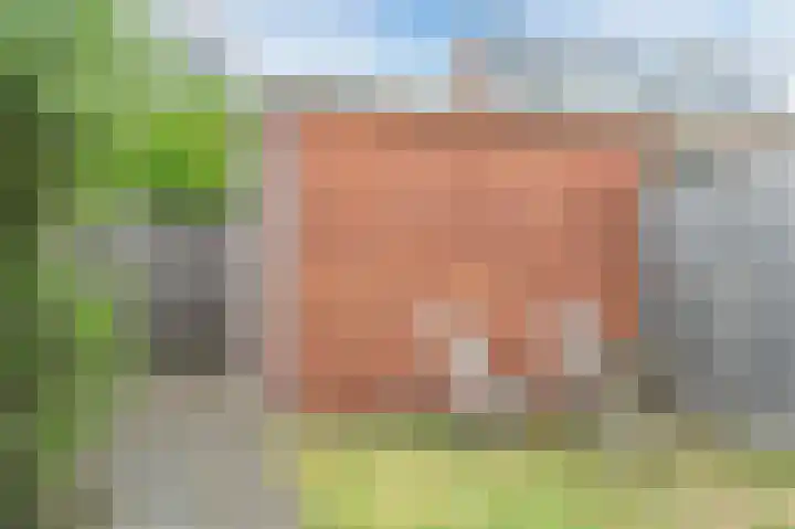 Taxushaag 30 Voorhout thumbnail 31