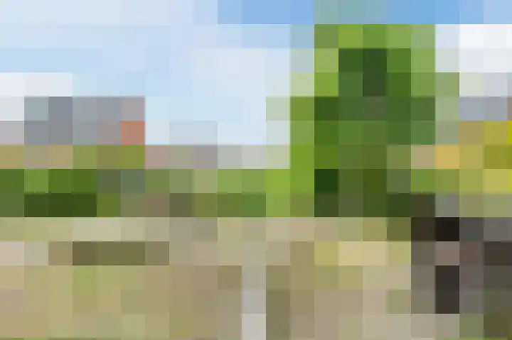 Taxushaag 30 Voorhout thumbnail 36