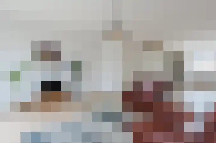 Taxushaag 30 Voorhout thumbnail 7
