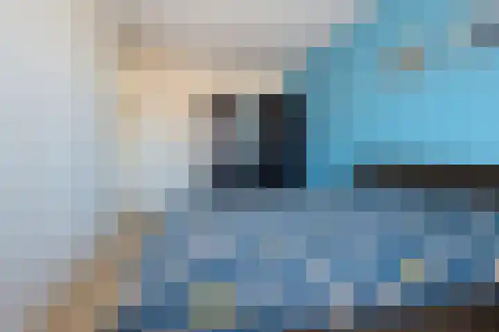 Taxushaag 6 Voorhout thumbnail 20