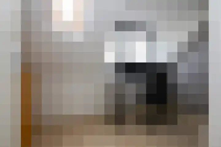 Taxushaag 6 Voorhout thumbnail 34