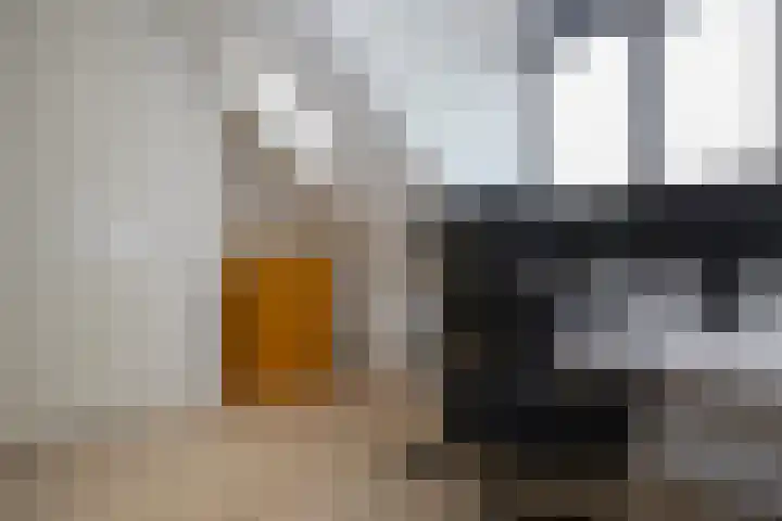 Taxushaag 6 Voorhout thumbnail 36