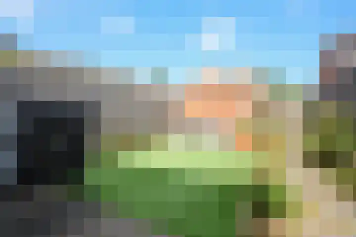 Taxushaag 6 Voorhout thumbnail 42