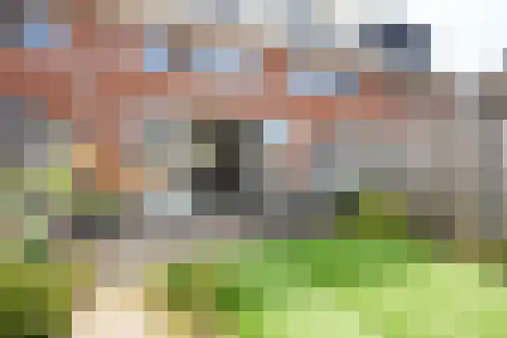 Taxushaag 6 Voorhout thumbnail 43