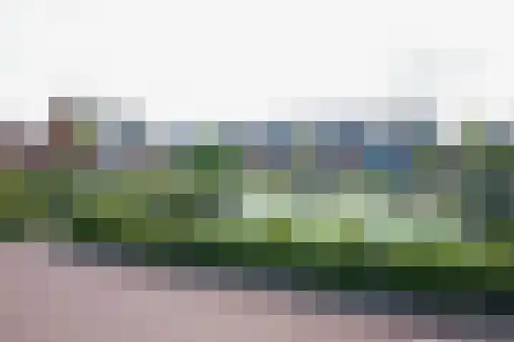 Taxushaag 6 Voorhout thumbnail 48