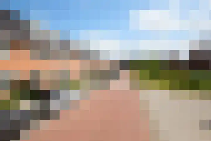 Taxushaag 6 Voorhout thumbnail 49