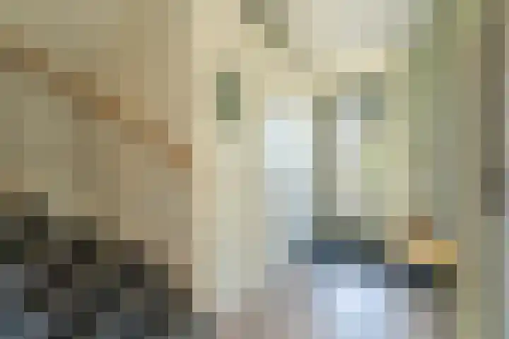 Taxushaag 9 Voorhout thumbnail 12
