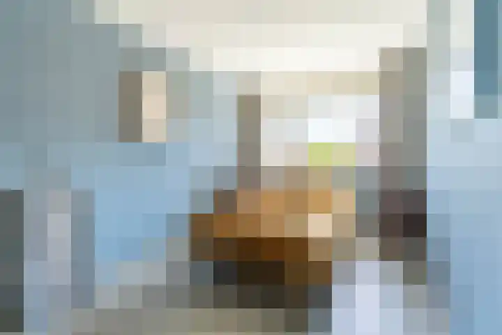 Taxushaag 9 Voorhout thumbnail 13