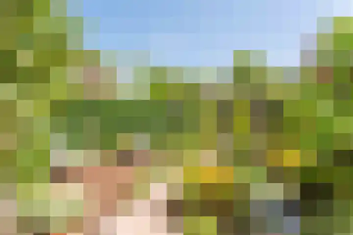 Taxushaag 9 Voorhout thumbnail 27