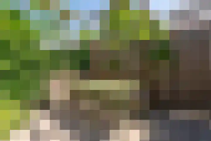 Taxushaag 9 Voorhout thumbnail 28