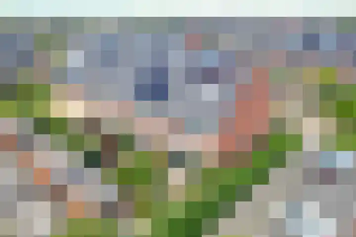 Taxushaag 9 Voorhout thumbnail 32
