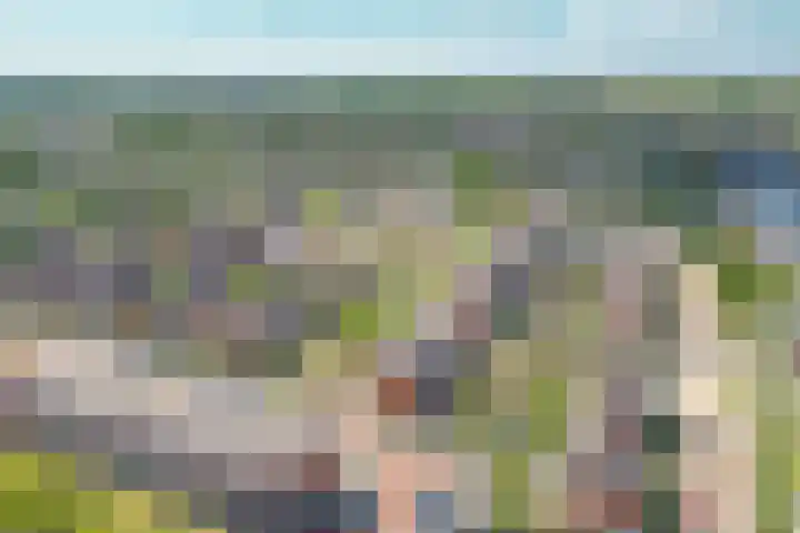 Taxushaag 9 Voorhout thumbnail 35
