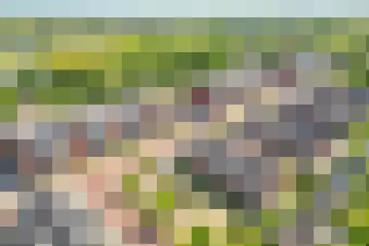 Taxushaag 9 Voorhout thumbnail 36