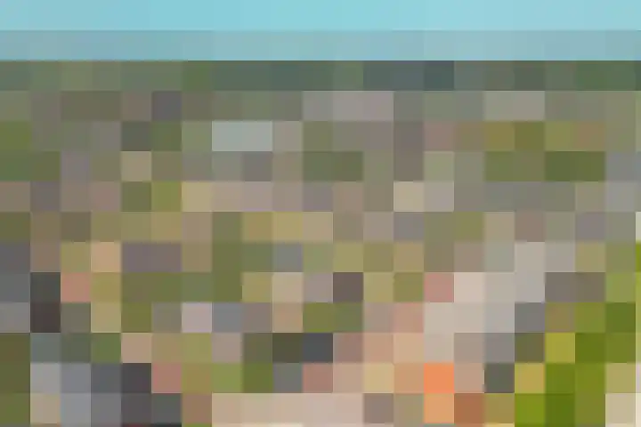 Taxushaag 9 Voorhout thumbnail 37