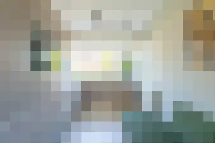 Taxushaag 9 Voorhout thumbnail 8
