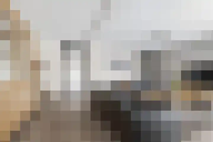 Taxushout 12 Barendrecht thumbnail 12