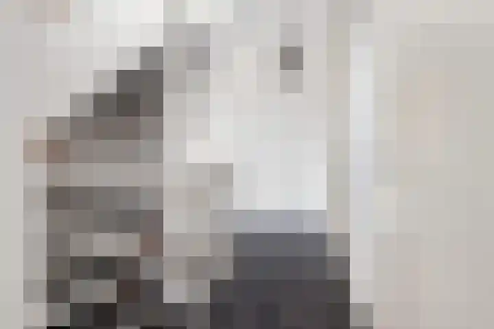 Taxushout 12 Barendrecht thumbnail 22