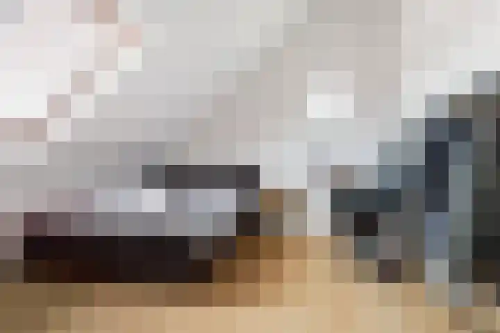Taxushout 12 Barendrecht thumbnail 34