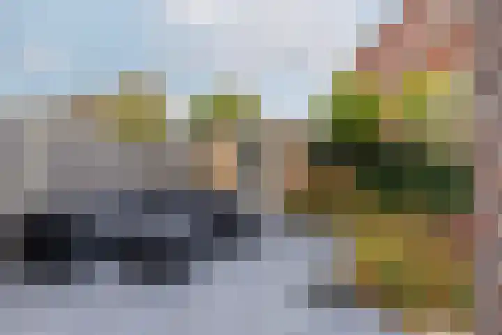 Taxushout 12 Barendrecht thumbnail 35