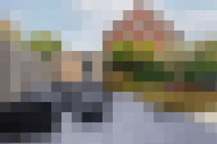Taxushout 12 Barendrecht thumbnail 36