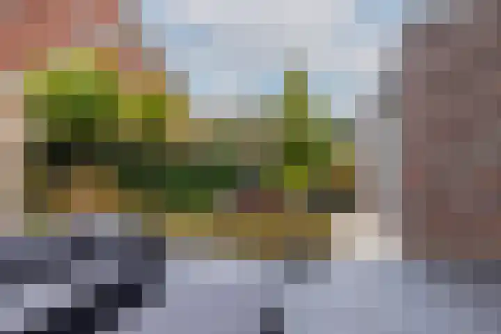 Taxushout 12 Barendrecht thumbnail 37