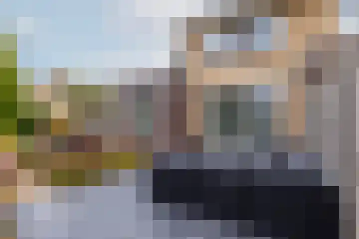 Taxushout 12 Barendrecht thumbnail 38