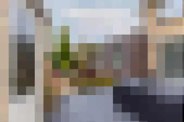 Taxushout 12 Barendrecht thumbnail 39