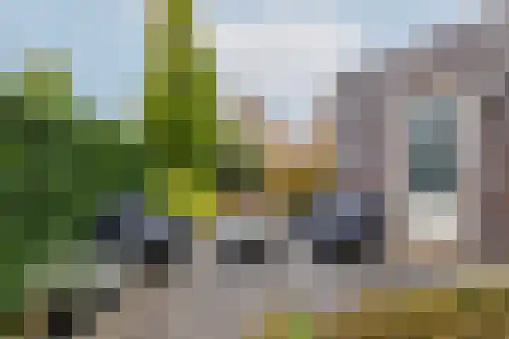 Taxushout 12 Barendrecht thumbnail 42