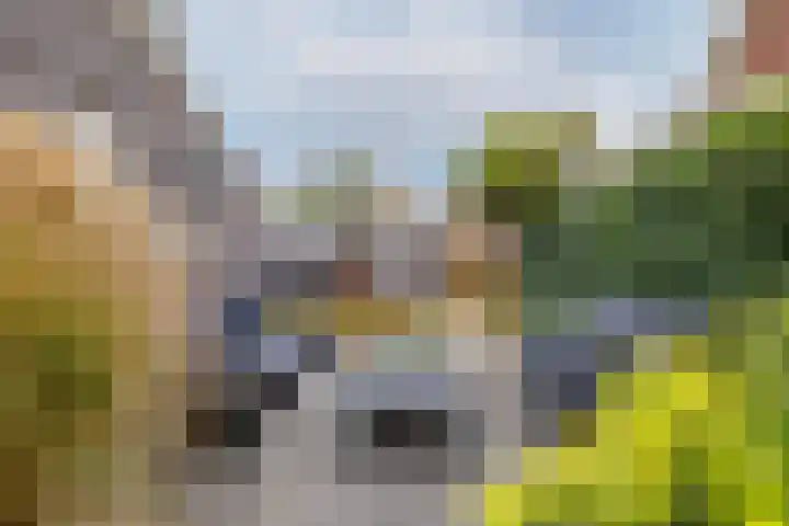 Taxushout 12 Barendrecht thumbnail 44