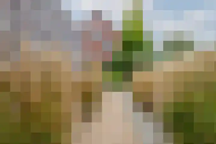 Taxushout 12 Barendrecht thumbnail 46