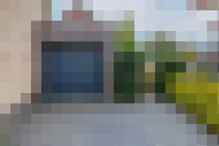 Taxushout 12 Barendrecht thumbnail 47