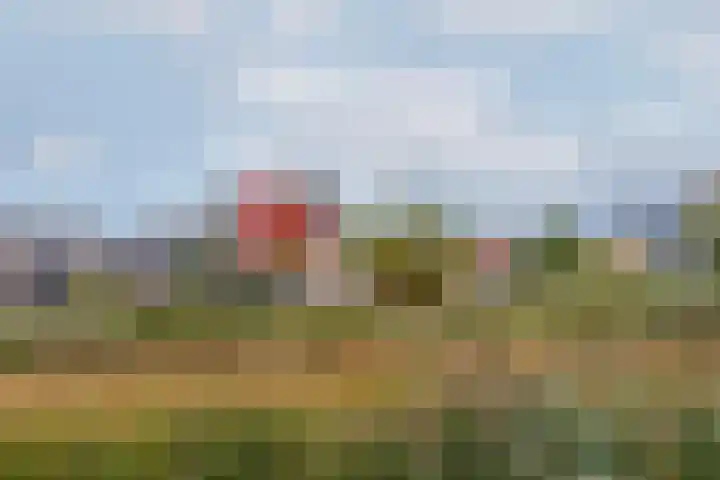 Taxushout 12 Barendrecht thumbnail 48