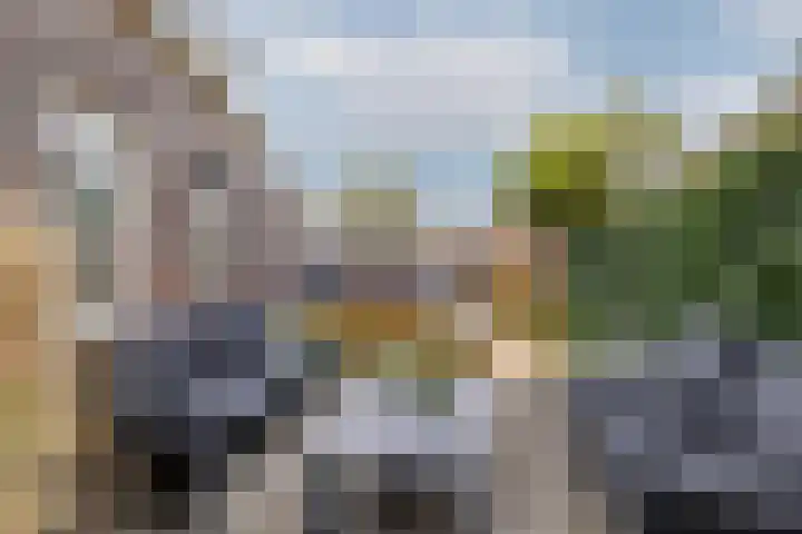 Taxushout 12 Barendrecht thumbnail 5