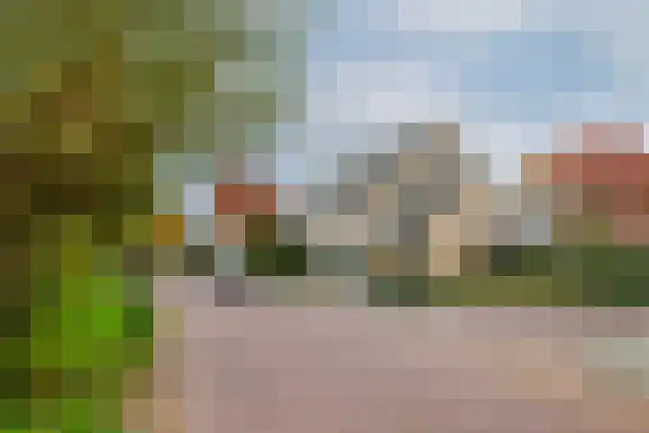 Taxushout 12 Barendrecht thumbnail 6