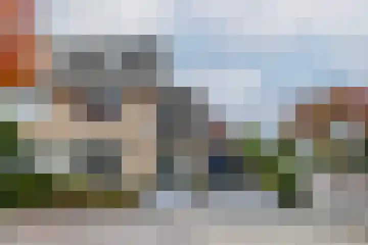 Taxushout 12 Barendrecht thumbnail 7