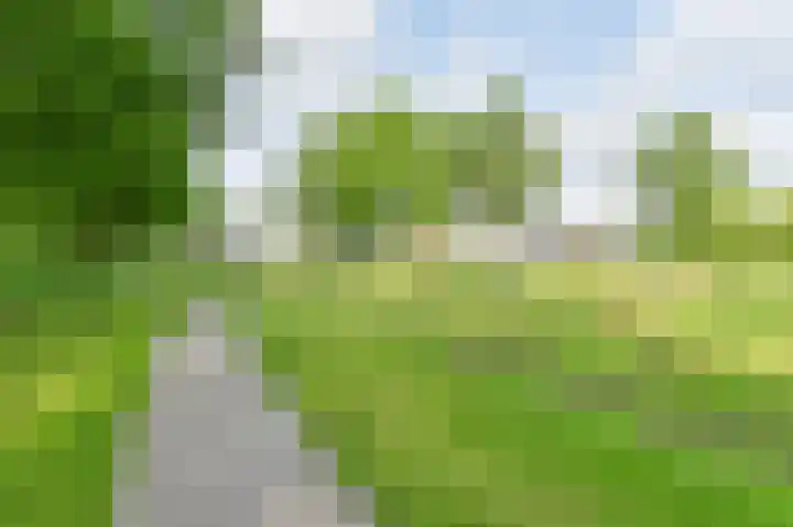 Taxuslaan 25 Exloo thumbnail 10