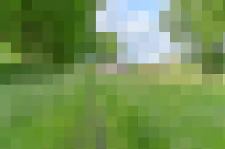 Taxuslaan 25 Exloo thumbnail 11