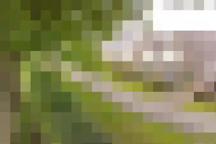 Taxuslaan 25 Exloo thumbnail 12